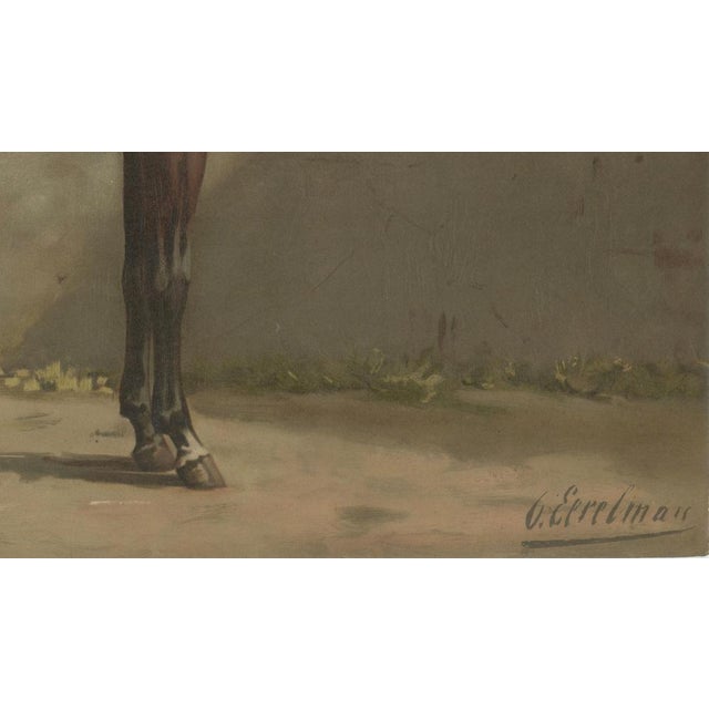 After Eerelman, East Prussian Trakehner Horse Portrait, 1898, Lithograph For Sale - Image 5 of 10