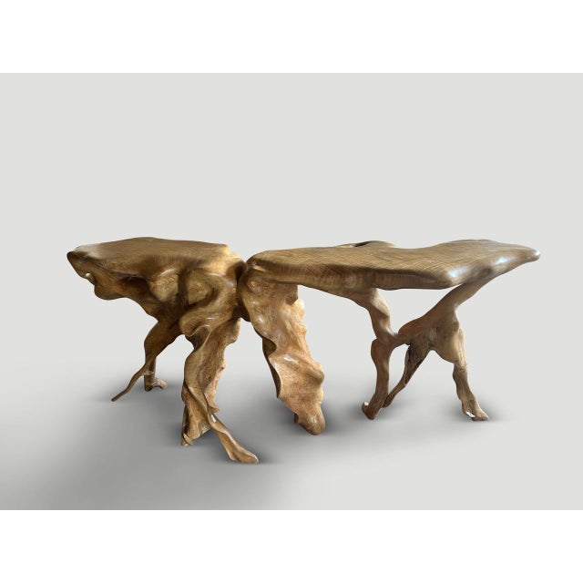 Andrianna Shamaris Monumental Sculptural Teak Root Console Table For Sale - Image 9 of 18