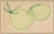 Contemporary Osage Orange Framed Art Print by Susan Hable For Sale - Image 3 of 3