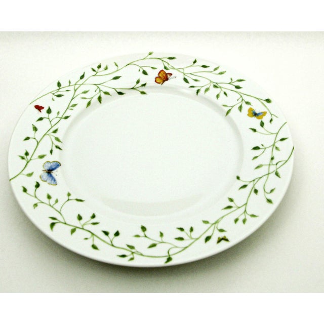 Raynaud Limoges France Porcelain Set Histoire Naturelle