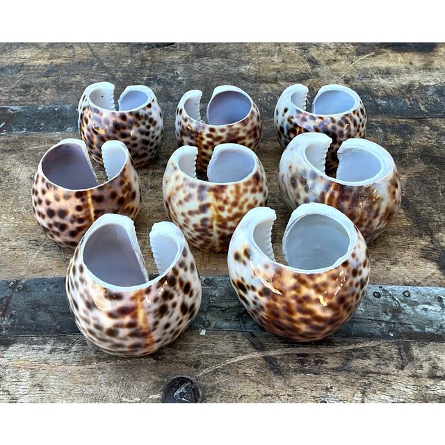 Vintage Sliced Shell Napkin Holders - Set of 8 For Sale - Image 12 of 12