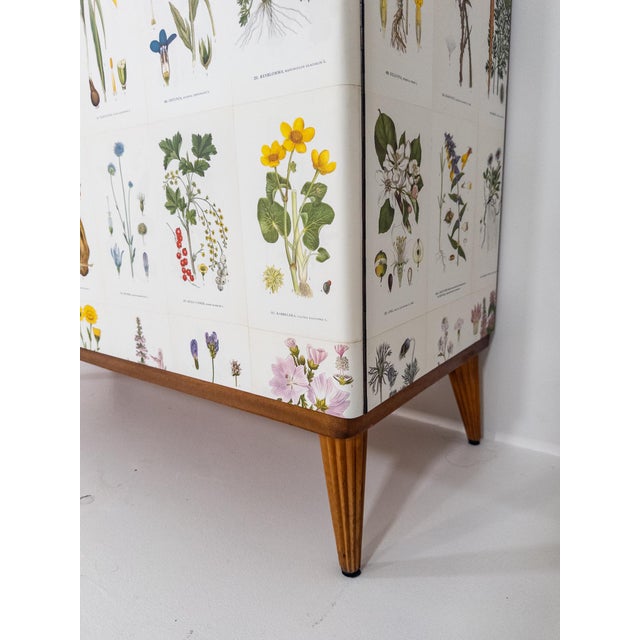 Wood Vintage Swedish Flora Cabinet, 1950s For Sale - Image 7 of 10