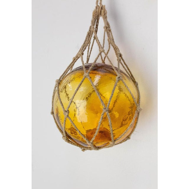 Glass French Amber Colored Glass and Sting Net Flot, 1960s For Sale - Image 7 of 8