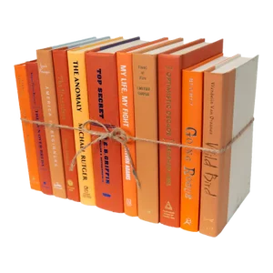 Decorative Books - Grove Book Bundle - 1 Foot of Orange Books