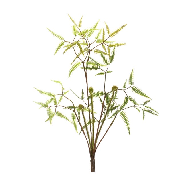 Enhance your home with the lush beauty of natureâwithout the upkeep! This Mini Fern Bush Set features vibrant, lifelike...
