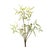 Enhance your home with the lush beauty of natureâwithout the upkeep! This Mini Fern Bush Set features vibrant, lifelike...