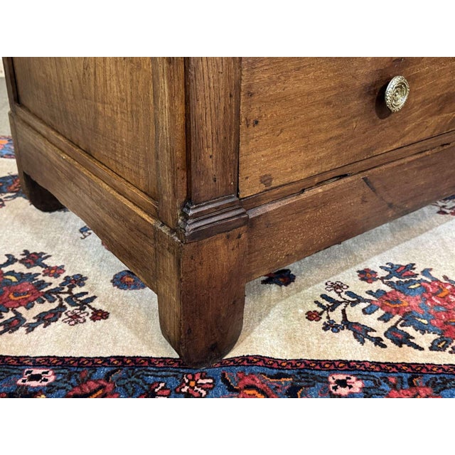 19th Century Restoration Chest of Drawers in Chestnut For Sale - Image 14 of 16