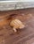 Wood Hand-Carved Mid-20th Century Wooden Frog Sculpture With Incised Detailing For Sale - Image 7 of 10