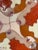 1990s 1990s "Quattro Femmes" Mosaic Sculpture by Guillermo Wagner Granizo For Sale - Image 5 of 6