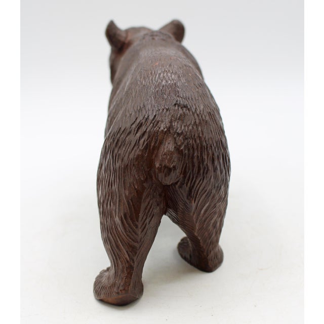 Circa 1900 Swiss Small-Medium Size Strolling Black Forest Bear For Sale - Image 4 of 5