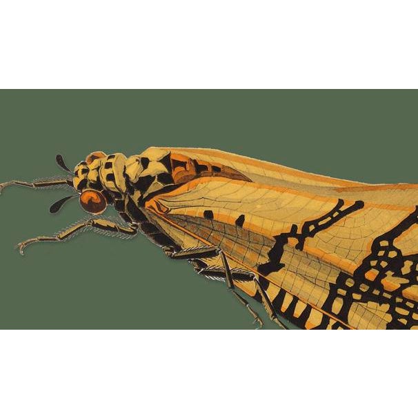 The series was produced by CFA editions from original pochior prints by E.A. Seguy. The series of insects that Seguy...