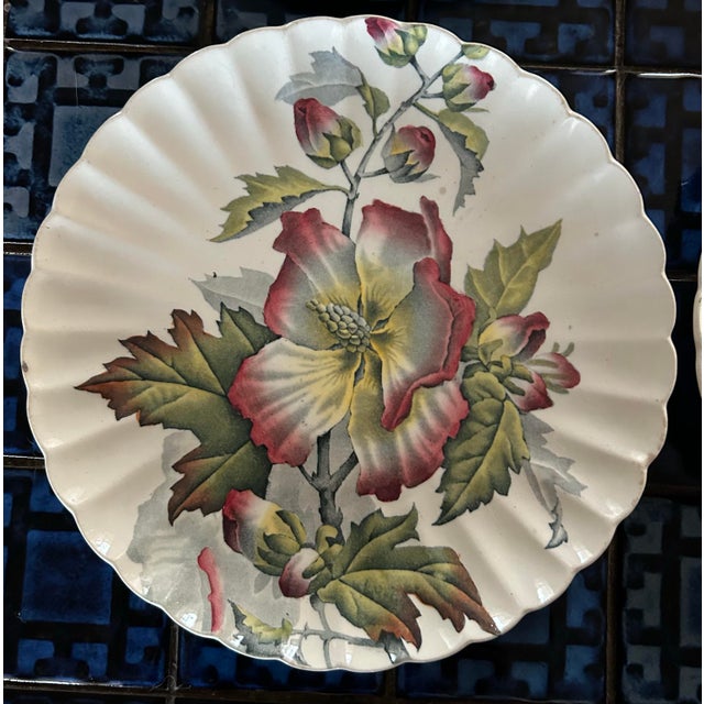 Ceramic Antique 1880’s Tc Brown Westhead Moore & Co Scalloped Edge Botanical Plates 8.5” ~ Set of 6 For Sale - Image 7 of 11