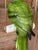 Vintage Ceramic Glazed Parrot on Brass Perch With Hanging Chain For Sale - Image 4 of 11