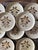 Set of 10 (10) vintage Red Wing Turtle Dove plates featuring a charming folk-art-inspired design of stylized birds,...