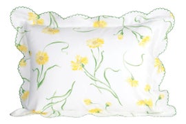 Example of Pillow Shams