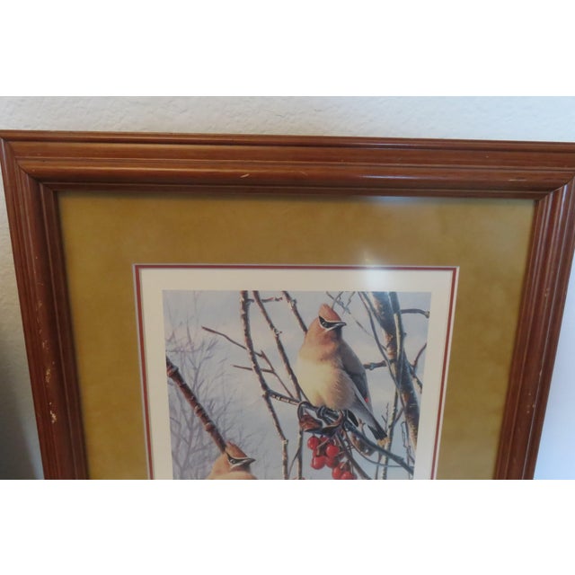 American Autumn Bounty Cedar Waxwing Birds Print '93 Artist Signed LTD Edition #118/600 For Sale - Image 3 of 6