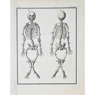 Jacques de Seve, Anatomical Studies, Etching, 1771 For Sale
