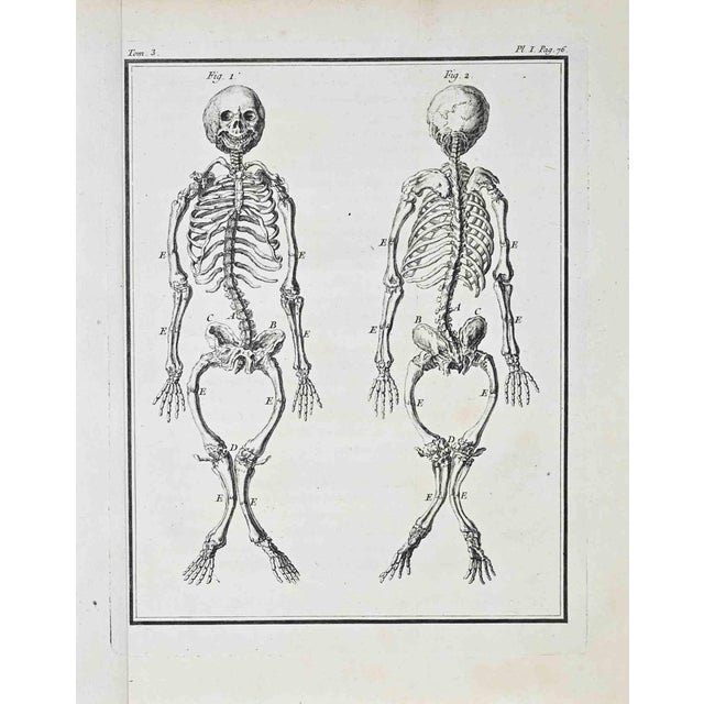 Jacques de Seve, Anatomical Studies, Etching, 1771 For Sale