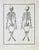 Jacques de Seve, Anatomical Studies, Etching, 1771 For Sale