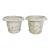 Pair of 19th Century Hand-Carved Carrara Marble Urn Planters, Italy For Sale
