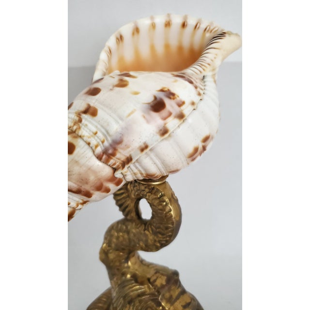 Seashell & Brass Sculpture For Sale - Image 12 of 13