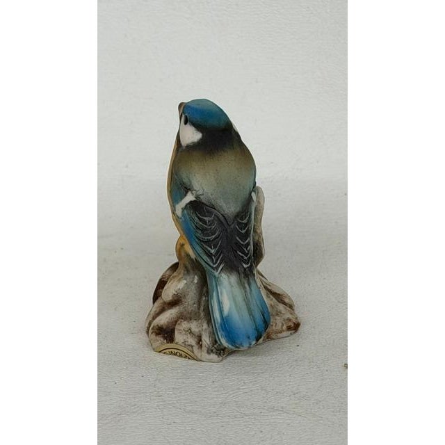 Figurative Capodimonte Savastano Eurasian Blue Tit Ceramic Figurine Bird on a Branch 4496b For Sale - Image 3 of 17