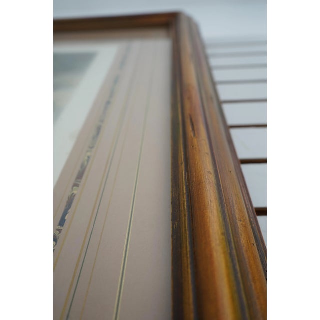 Vintage European Color Engraving of Horse For Sale In Philadelphia - Image 6 of 12