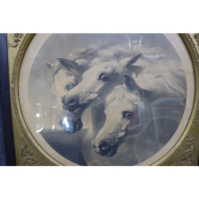English Pharaoh's Horses 1848 Framed Print For Sale - Image 3 of 7