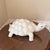 Add a touch of elegant Italian design and whimsical charm to your home with this vintage white ceramic turtle sculpture....