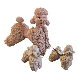 Pink Spaghetti Poodle Set
