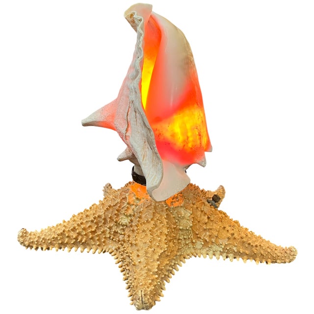 Vintage Natural Conch Shell & Starfish Coastal Table Lamps - a Pair For Sale - Image 13 of 18