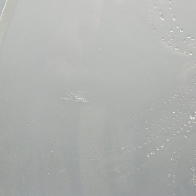 Art Deco Glass Charger by Rene Lalique, 1920s For Sale - Image 11 of 14