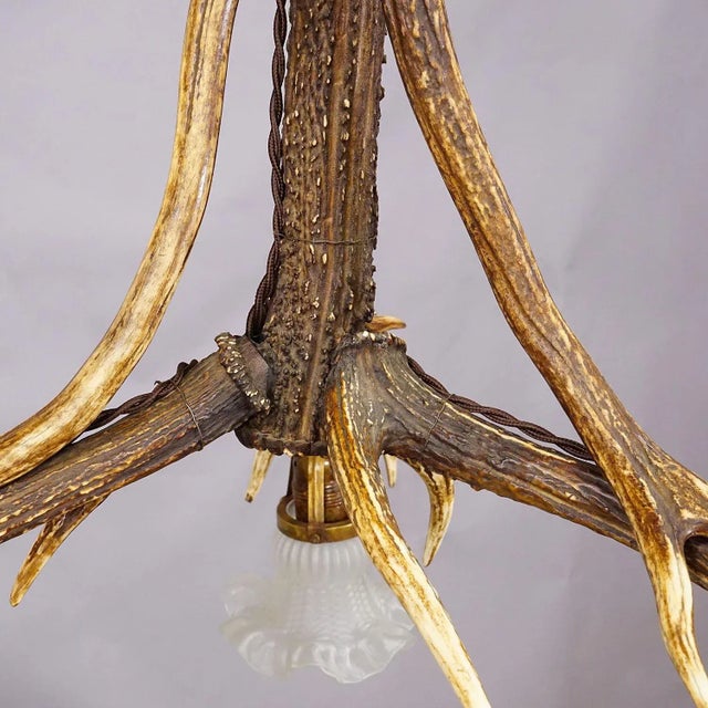 Large Black Forest Ceiling Lamp With Deer Antlers For Sale - Image 6 of 7
