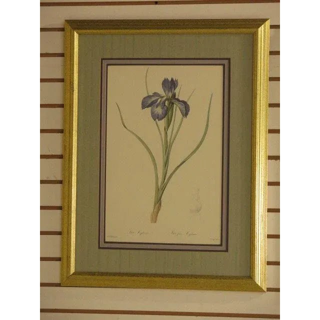 Shabby Chic "Iris" Floral Decorative Framed & Matted Prints - a Pair For Sale - Image 3 of 10