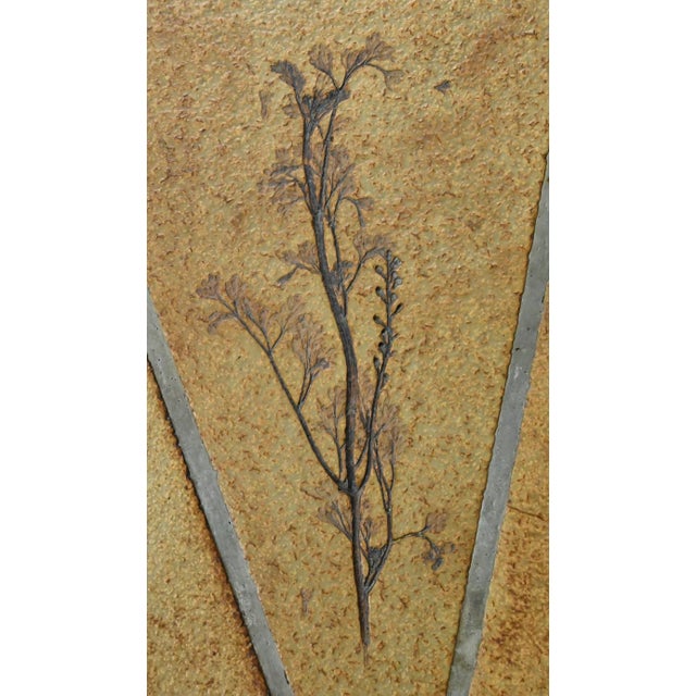 Oval Les Herbiers Coffee Table by Roger Capron for Vallauris, 1960s For Sale - Image 13 of 18