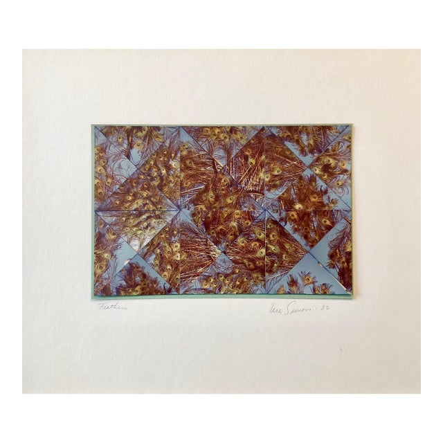 Vera SimonsPeacock Feathers Photo Mosaic Collage Photograph, Female Aviator Feminist Art, 1982 For Sale