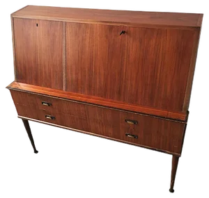 Secretary from Mobilifici Tosi, 1960s