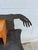 Dark Gray Andrés Nagel “Entremanos” Anthropomorphic Steel Writing Desk, Postmodern Design For Sale - Image 8 of 16