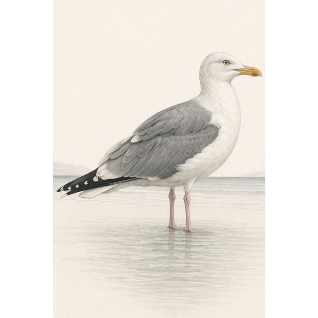 Not Yet Made - Made To Order Coastal Seagull Study, Neutral Bird Wall Art Print, 24″ × 36″ Reproduction For Sale - Image 5 of 10
