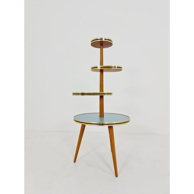 Vintage German Plant Stand, 1950s For Sale - Image 4 of 11