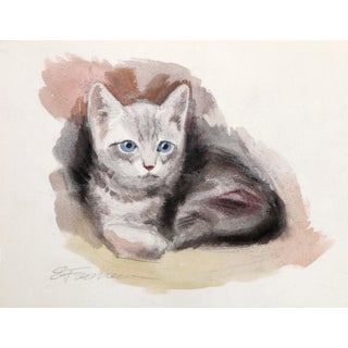 Erik Freyman, American Wirehair Kitten, Watercolor For Sale