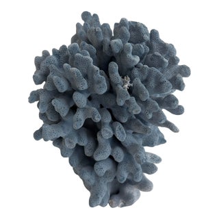 Natural Blue Coral Specimen Coastal Decor For Sale