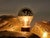 Vintage Palm Table Lamp from Maison Jansen, 1970s For Sale - Image 12 of 13