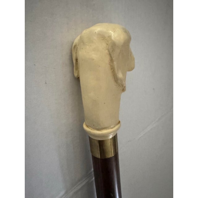 Traditional Vintage Cane/Walking Stick With Yellow Lab Head For Sale - Image 3 of 5