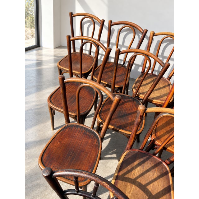 Wood French Wood Bistro Chairs in the style of Thonet, France, 1940, Set of 60 For Sale - Image 7 of 13