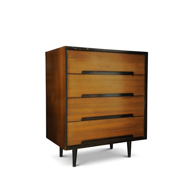 Wood Stag C Range Walnut Chest of Four Drawers by John & Sylvia Reid, 1960s For Sale - Image 7 of 7