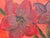 Vibrant abstract red flowers with splashes of green & yellow on box canvas 2007 For Sale - Image 6 of 8