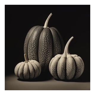 Black & White Botanical Pumpkins No. 3 — Fine Art Photograph Print | Unframed For Sale
