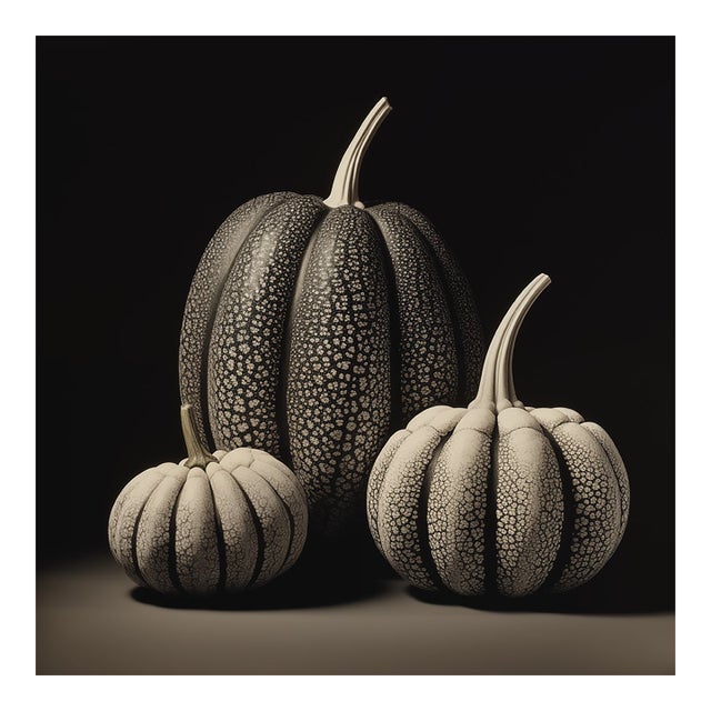 Black & White Botanical Pumpkins No. 3 — Fine Art Photograph Print | Unframed For Sale
