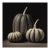Black & White Botanical Pumpkins No. 3 — Fine Art Photograph Print | Unframed For Sale